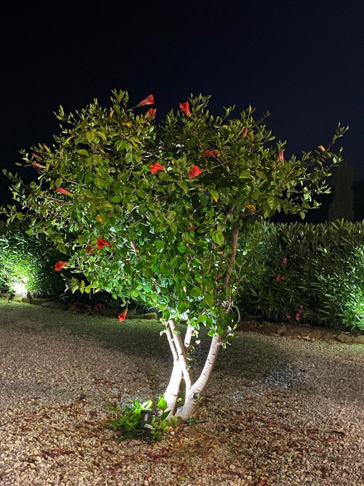 Finca Angelita Torrox Exteriör bild